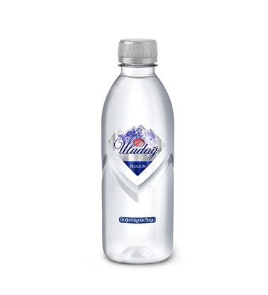 ULUDAG KAYNAK SUYU PET 400ML