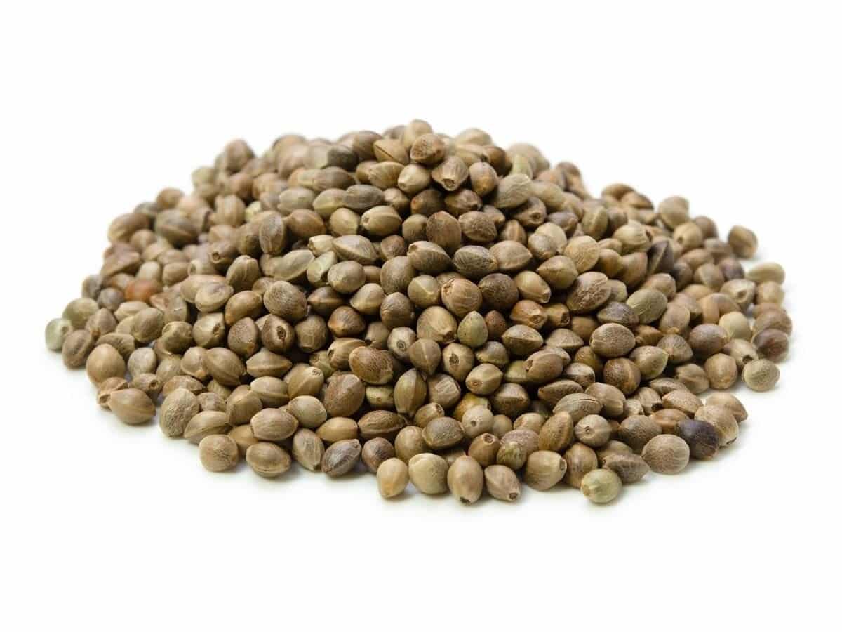 SAH GANNAVURI KUTULU 50G