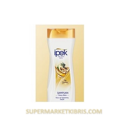 İPEK SH KURU VE YIPRANMIŞ SAÇ.600ML