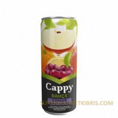 CAPPY MEYVE SUYU ŞEFTALİ TENEKE 330ML