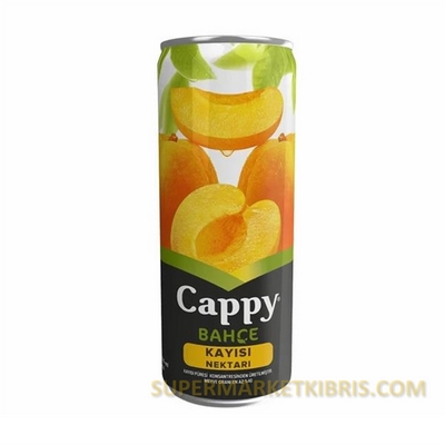 CAPPY MEYVE SUYU KAYISI TENEKE 330ML