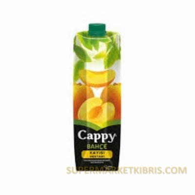 CAPPY MEYVE SUYU KAYİSİ 1LT