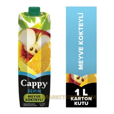 CAPPY KARIŞIK MEYVE KOKTEYLİ 1LT