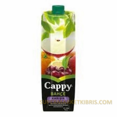 CAPPY MEYVE SUYU KARİŞİK 1LT