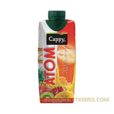CAPPY MEYVE SUYU ATOM TENEKE 330ML