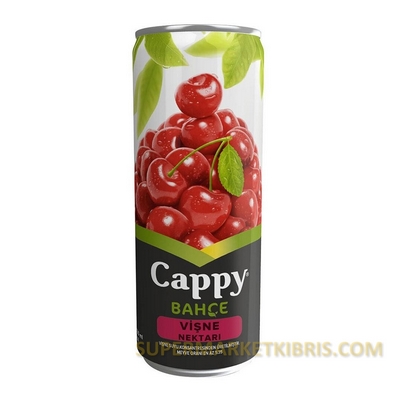 CAPPY VİŞNE 330ML