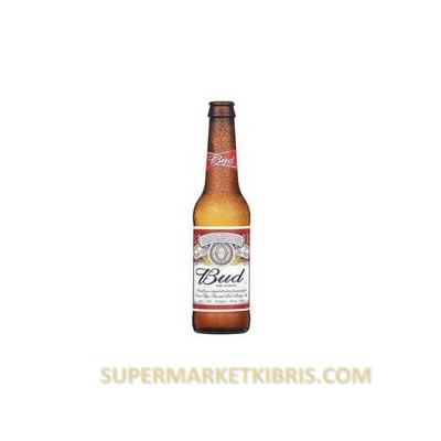 BUD SISE 33CL