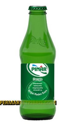 PINAR MADEN SUYU SADE 200ML