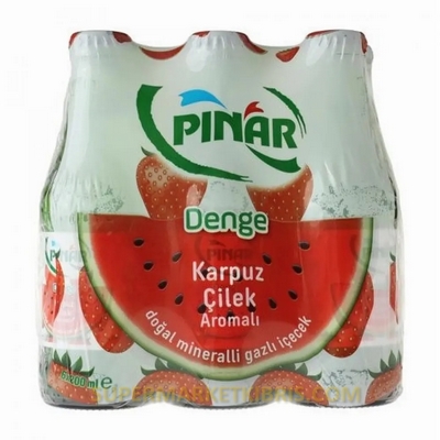 MADEN SUYU CILEK KAR.6LI