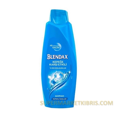 BLENDAX SAMPUAN KEPEKLI SACLARA OZEL 500ML