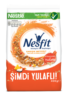 NESTLE NESFIT KARISIK MEYVELI 400GR