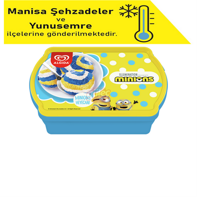 ALGİDA MİNİONS KASE 750ML