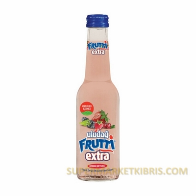 ULUDAĞ FRUTTİ ORMAN MEYVELİ 250ML