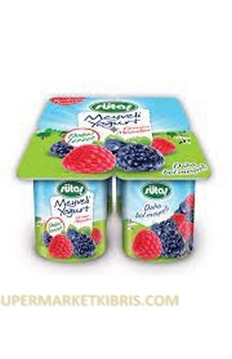 SÜTAŞ ORMAN MEYVELİ YOĞURT 4 X 115 GR