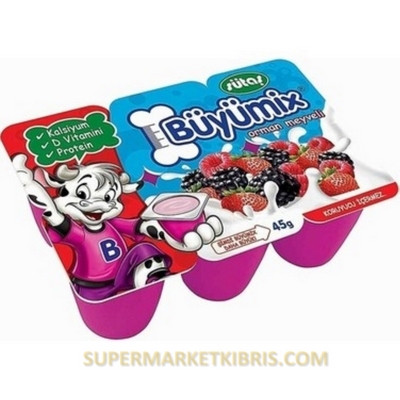SÜTAŞ BÜYÜMİX ORMAN MEYVELİ 6*45 GR