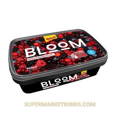 FEAST KARISIK ORMAN MEYVELERI 350G