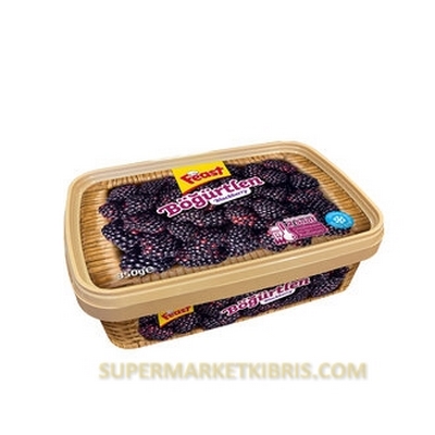 FEAST BOGURTLEN 350GR
