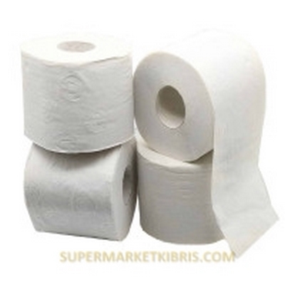 EKO YEŞİL DÜNYA 4Lİ