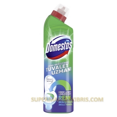 DOMESTOS TUVALET UZMANI 750ML