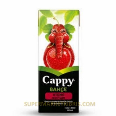 CAPPY BAHÇE VİŞNE NEKTARI 200ML X 27 ADET