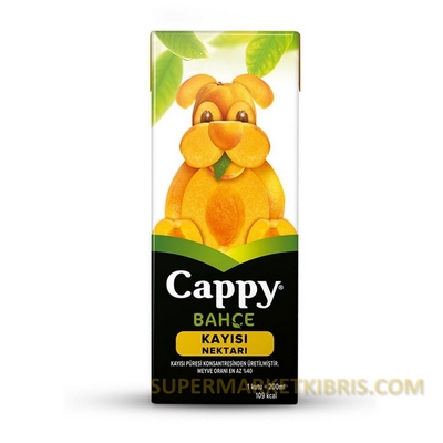 CAPPY MEYVE SUYU KAYİSİ 200ML