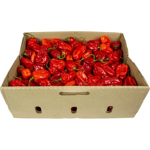 AFRICAN HOT PEPPER CHILLI KG
